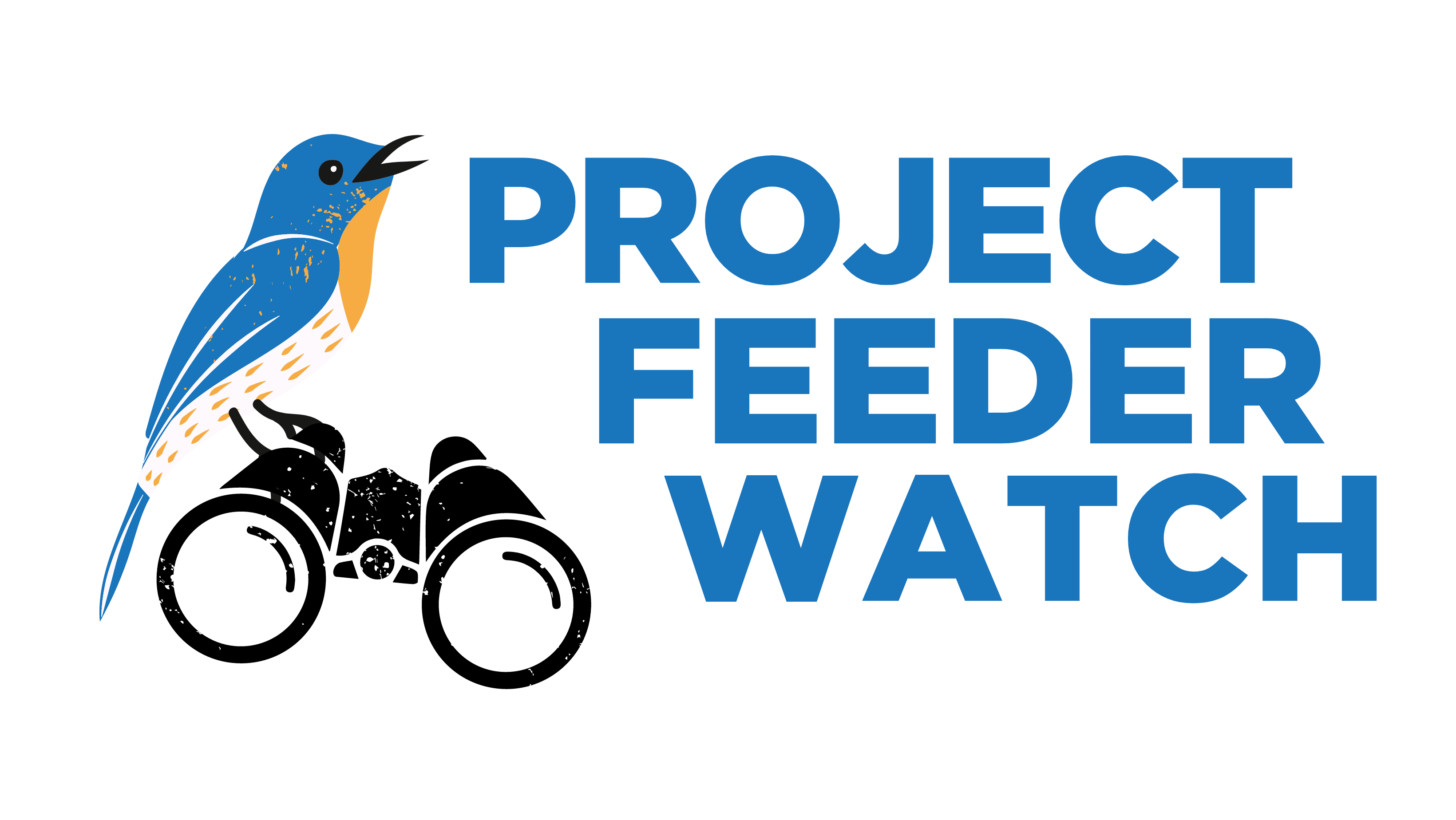 project feederwatch