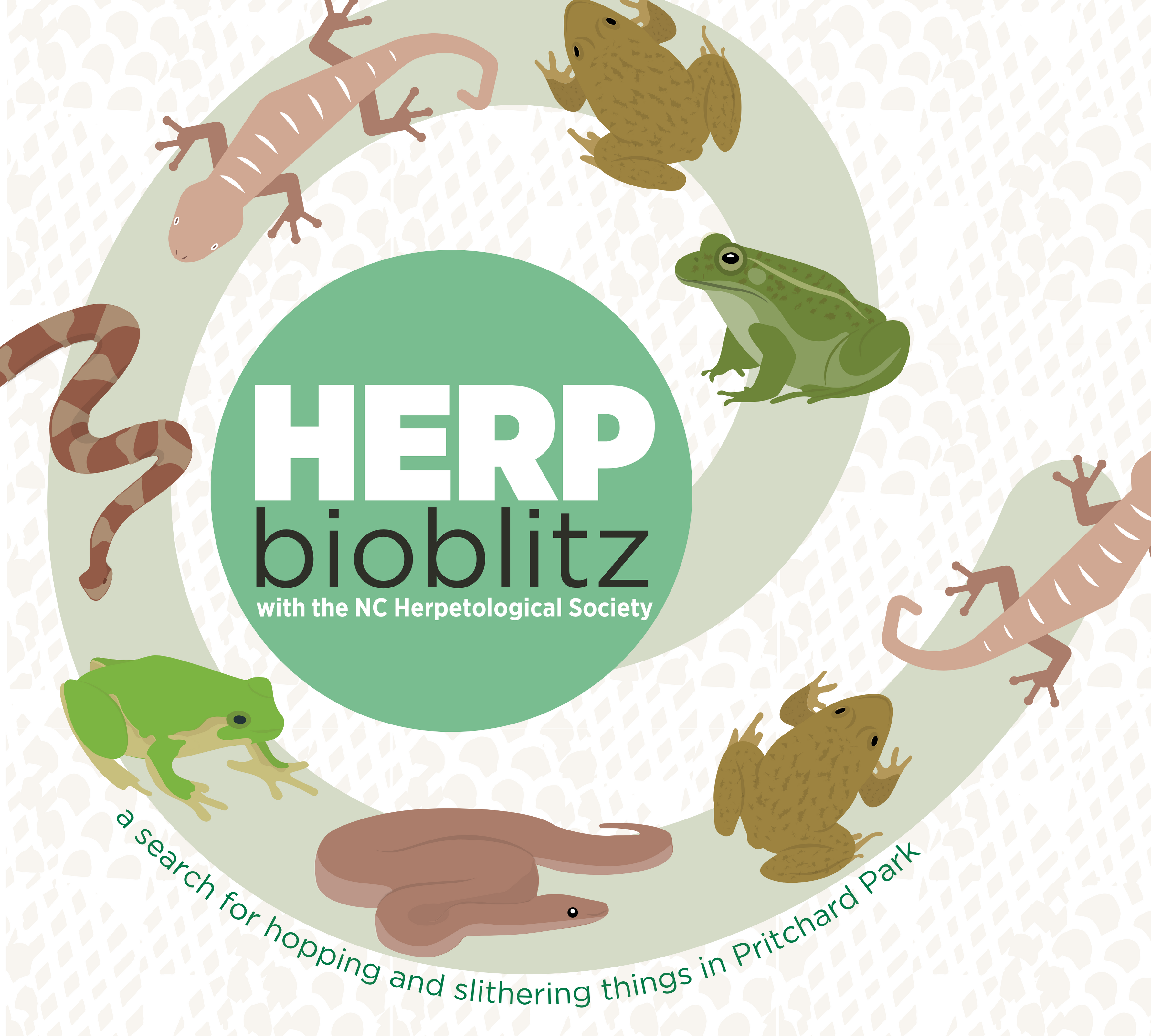 herp bioblitz with images of snakes and frogs