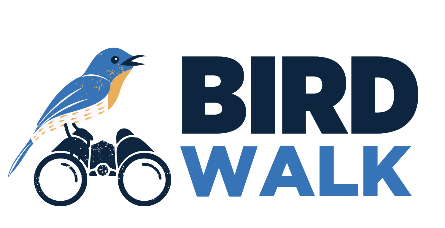 bird walk