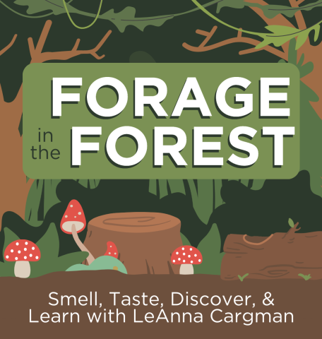 forage in the forest