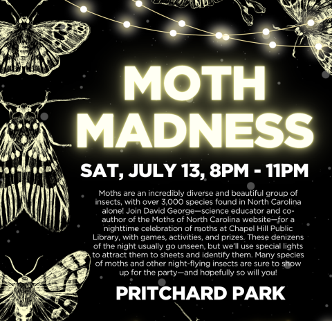 moth madness
