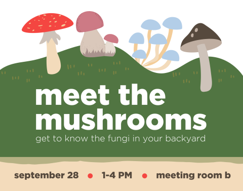 meet the mushrooms wordmark